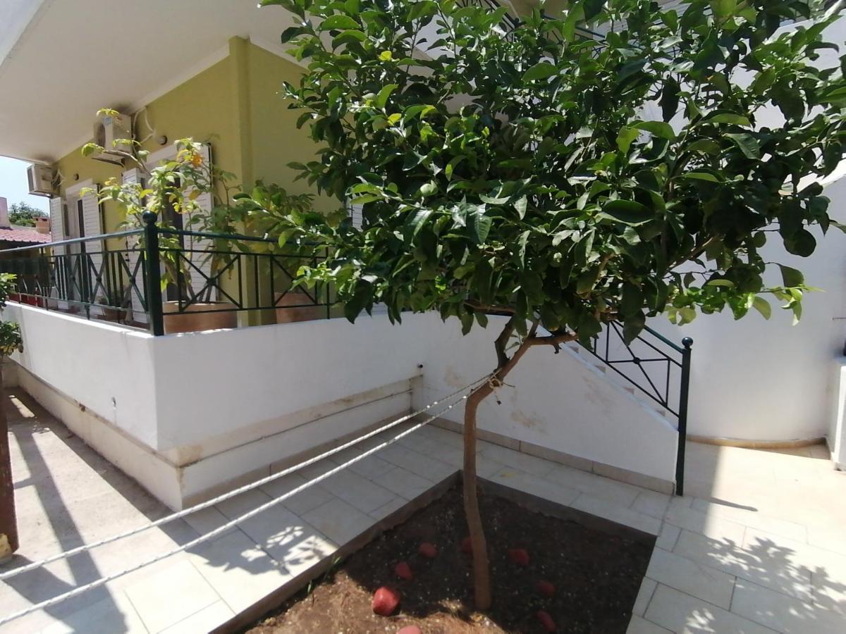 Vicky'S Place,Near Athens Airport Κορωπί Εξωτερικό φωτογραφία
